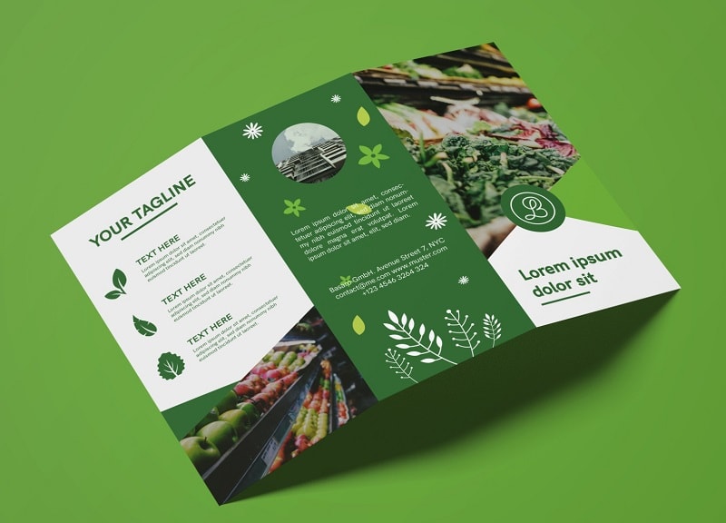 brochure la gi huong dan